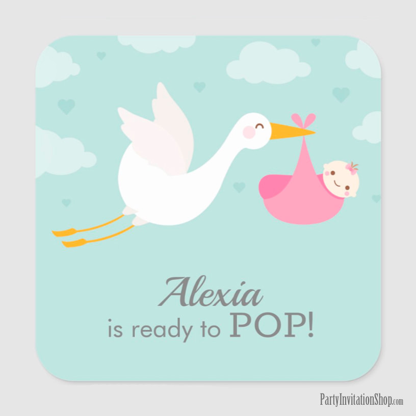 Stork Clouds Girl Bundle Baby Shower Stickers